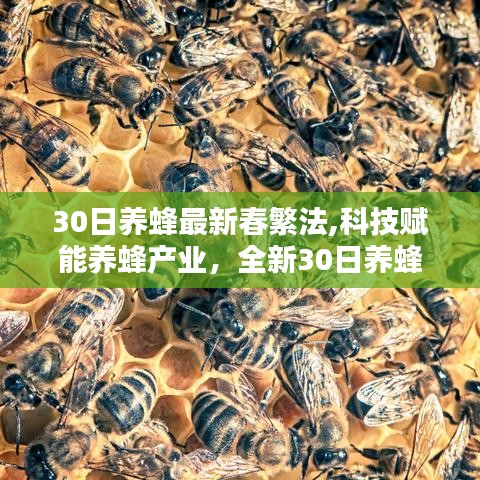 联系开元ky棋牌全部版本 第314页
