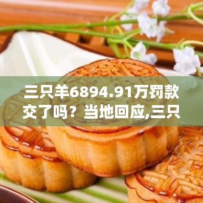嗅app 第309页