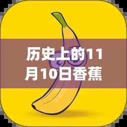 2024年11月10日 第8页