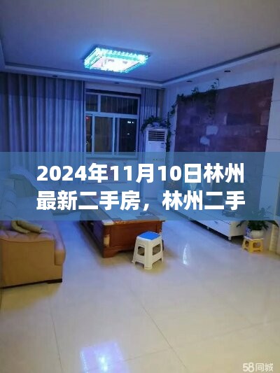 2024年11月10日 第6页